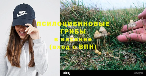 прущие крисы Белоозёрский
