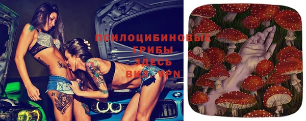 mdpv Белокуриха