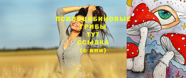 прущие крисы Белоозёрский