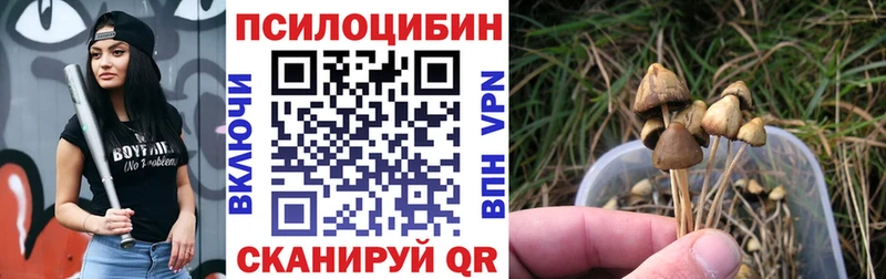 Псилоцибиновые грибы GOLDEN TEACHER  Купить где  Дудинка 